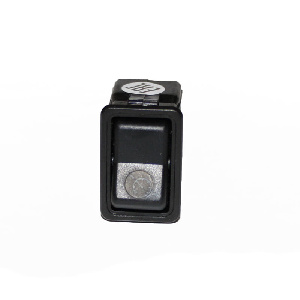 Клавиша  ЕВРО-3 круиз-контроля (г. С-Петербург)