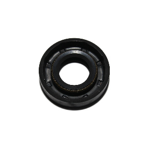 Манжета ТНВД 20*42*10 ВРТ (с пружиной) (фтор)