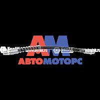 Шланг шприца  (БелАвтоКомплект) усиленный 300 мм