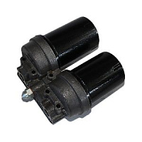 ФГОМ ЕВРО (ЛААЗ г. Ливны)