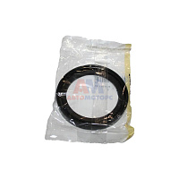 Манжета ТНВД (Common Rail)  (60*80*10) (SKT)