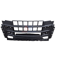 Решетка радиатора переднего бампера  (Технотрон)