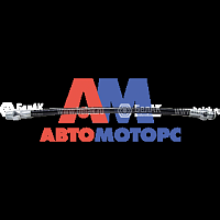 Шланг шприца  (БелАвтоКомплект) 250 мм