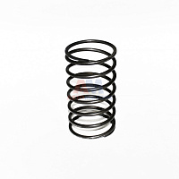 яяПружина ПГУ (большая) (г. Белорецк)