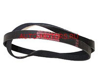Ремень вентилятора ЕВРО-1 (1703) (БРТ г. Балаково) (6PK1703)