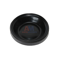 Мембрана тип-16