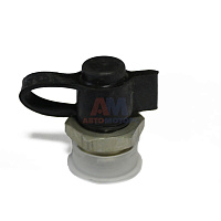 яяКлапан контрольного вывода (ТАПАЗ г. Полтава) М22