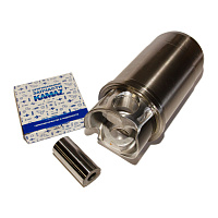 Поршневая  (Федерал Могул) Евро-4,5 (10гр.)