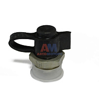 яяКлапан контрольного вывода (ТАПАЗ г. Полтава) М22