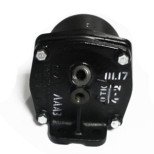 ФГОТ (ЛААЗ г. Ливны)