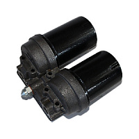 ФГОМ ЕВРО (ЛААЗ г. Ливны)